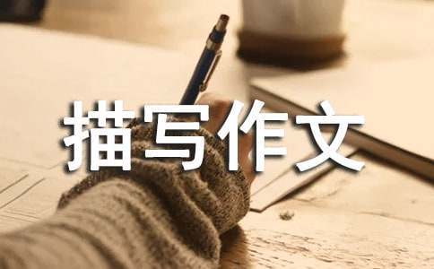 为什么篮球训练中需要多样化的策略_1